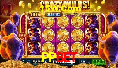 PPbet Salvador - Football